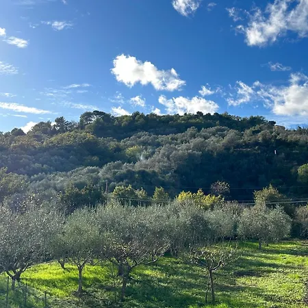Rosmarino - Charming 2 Bedrooms With Garden And Parking Apartmán Imperia