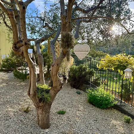 Rosmarino - Comodita E Tranquillita Con Giardino E Parcheggio Daire Imperia
