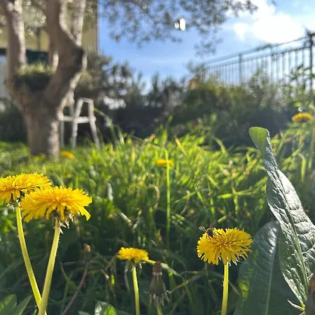 Apartment Rosmarino - Comodita E Tranquillita Con Giardino E Parcheggio Imperia