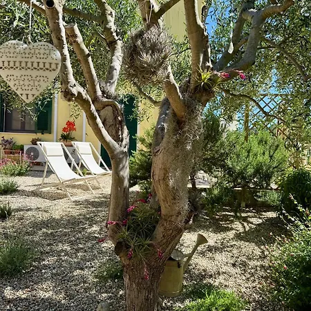 Rosmarino - Charming 2 Bedrooms With Garden And Parking Апартаменты *